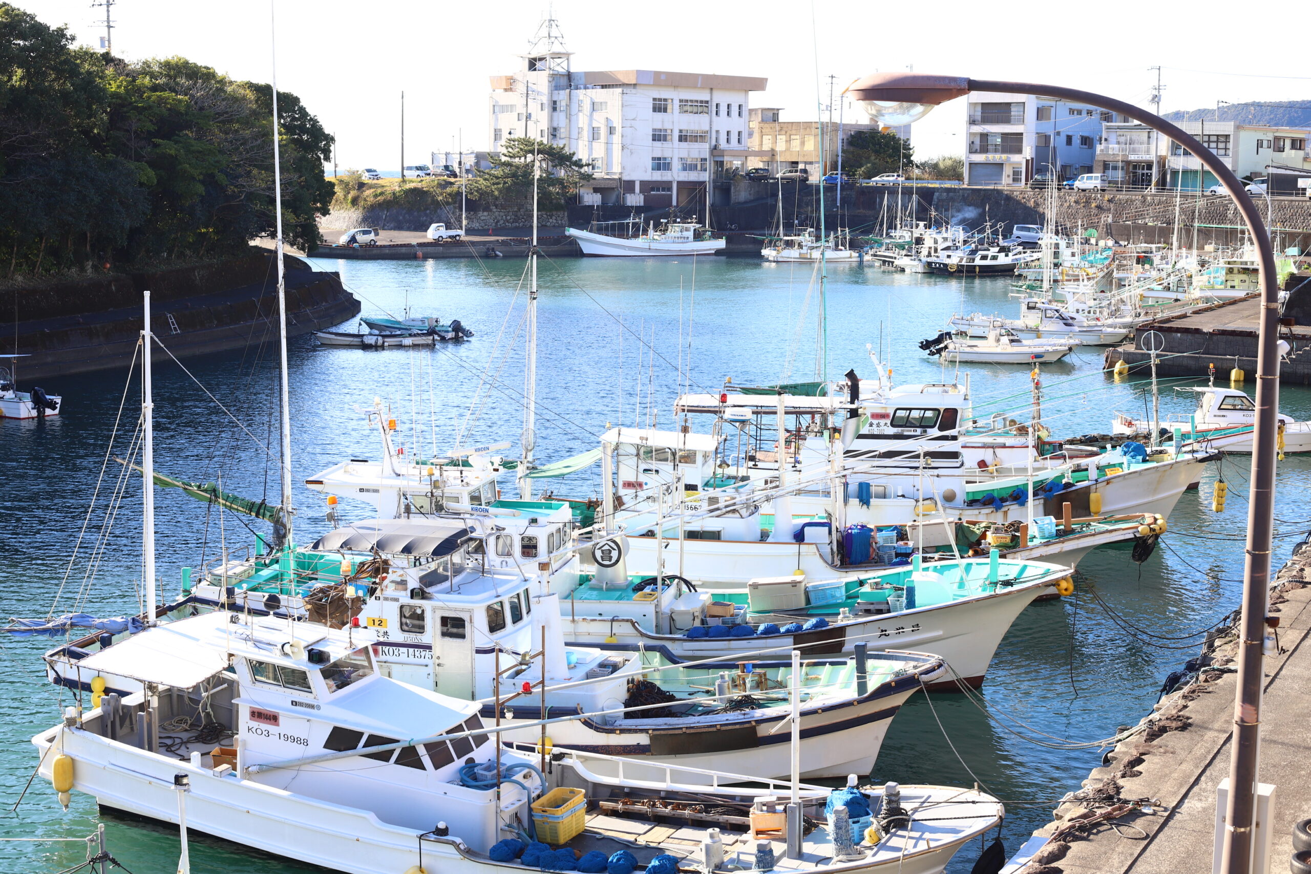 室戸の干物｜高知県室戸市｜Vol.38
